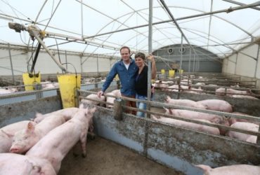 Herbert en Annemarie Noordman in Lemelerveld runnen een 1 ster Beter Leven varkensstal